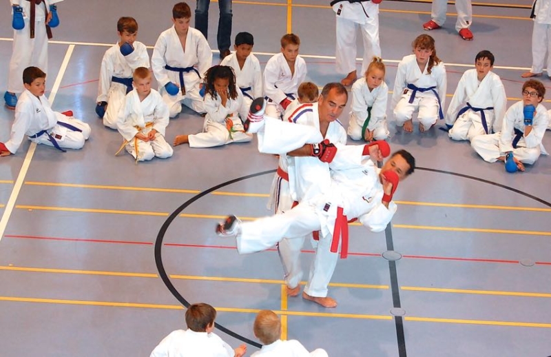 Dominique Valera Karate Club Valais Sion Suisse Switzerland Ecole Olivier Knupfer 7e Dan
