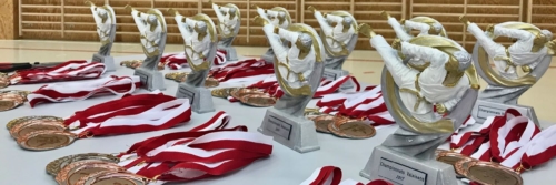 Championnats valaisans 2017 Karate