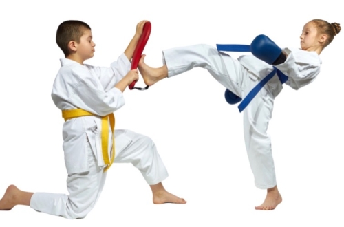 Karate Club Valais Sion Suisse Switzerland Ecole Olivier Knupfer 7e Dan Karate Club Valais Sion Suisse Switzerland Ecole Olivier Knupfer 7e Dan